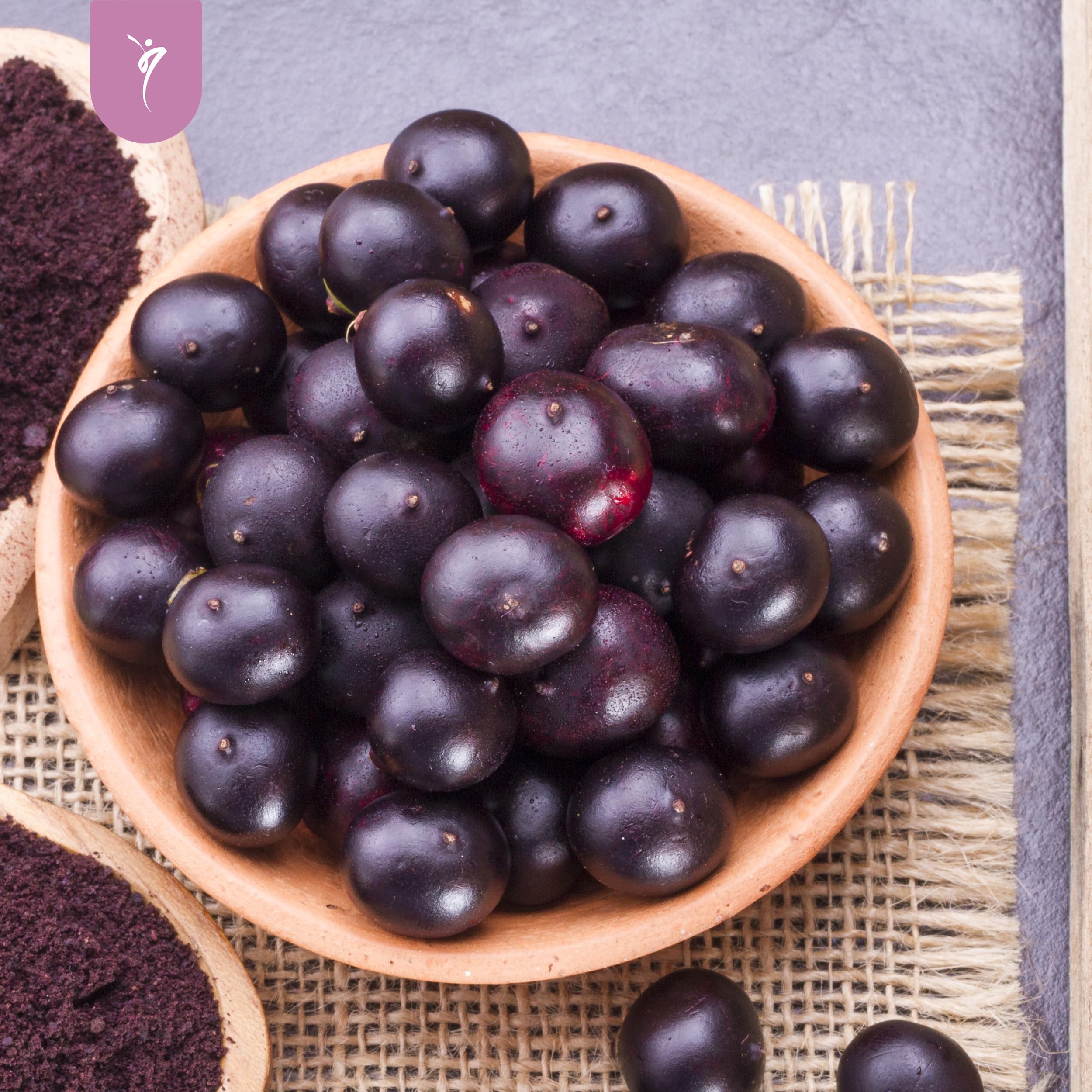 SanaExpert Acai Berry - Integratore Alimentare Naturale con Estratto Puro di Açaí - Ricco di Antiossidanti - Adatto ai Vegani, Senza Glutine, Senza Lattosio - 120 Capsule - Prodotto in Germania