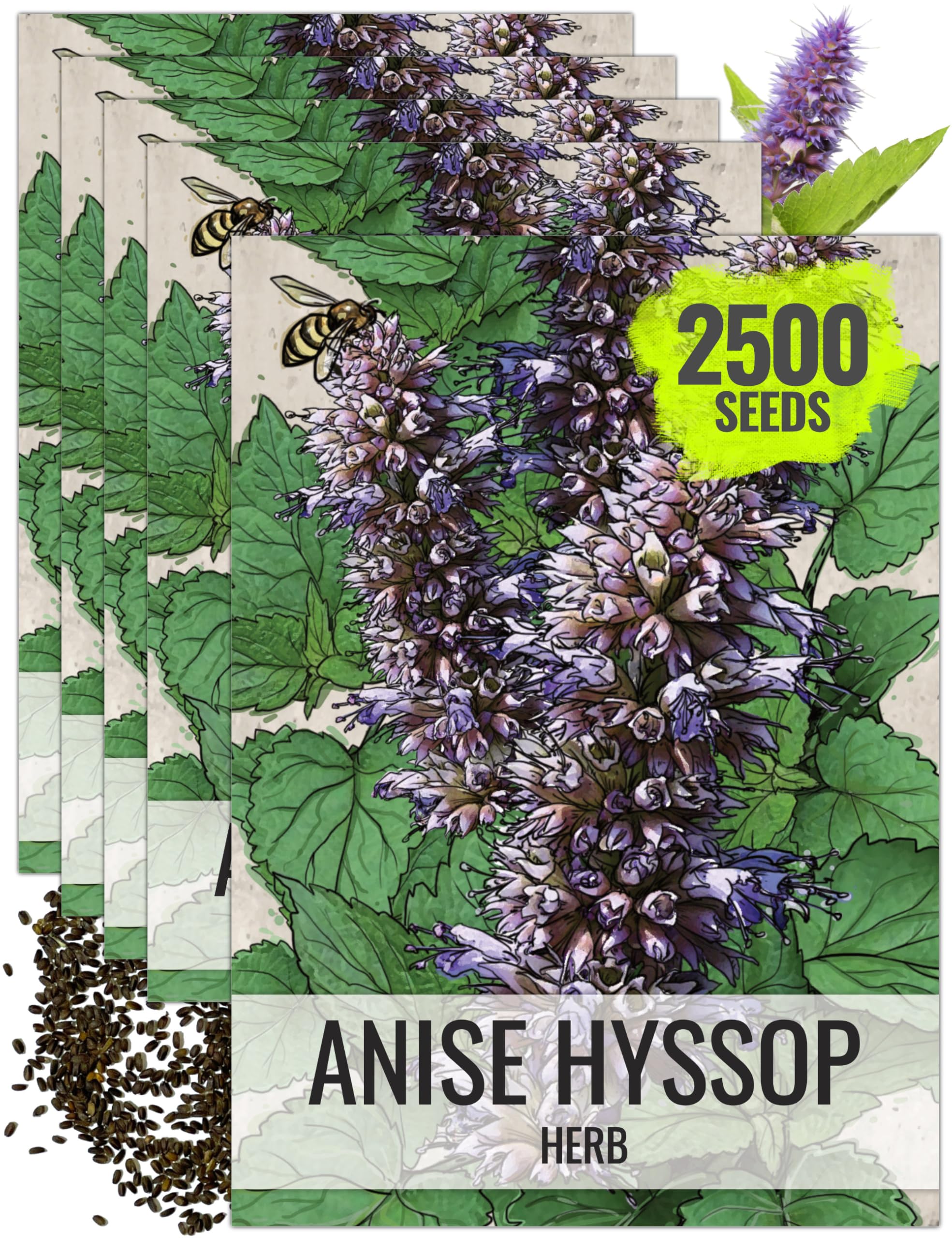 Seed Needs Anise Hyssop Seeds