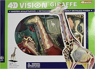 Famemaster 4D Vision Giraffe Anatomy Model
