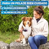 Ver la foto 2