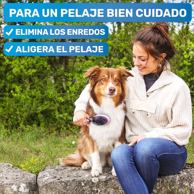 Foto 2 de 7 de BluePet Cepillo Perros y Gatos Pelo Largo y Corto, Elimina nudos y suciedad