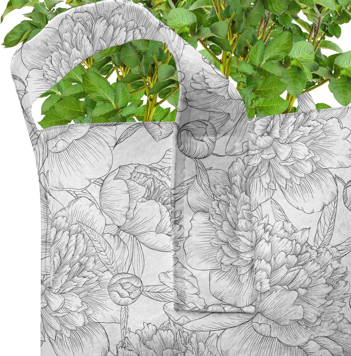 Lunarable Grey and White Grow Bags 5-Pack, Vintage Peonies Buds, Heavyduty Fabric Pots with Handles for Plants, 7 Gallon, Grey White