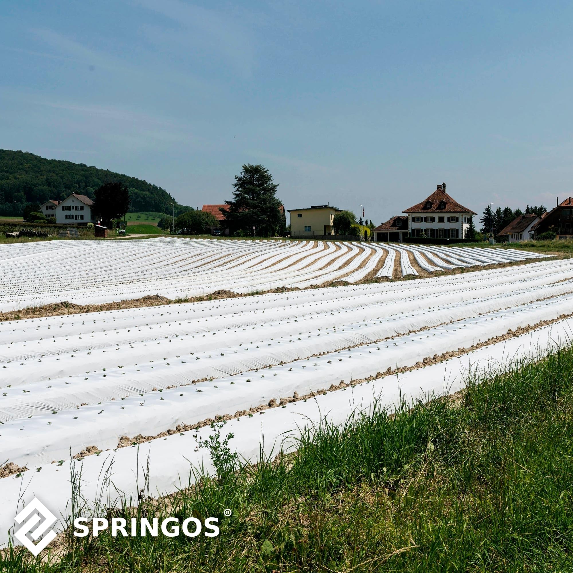 SPRINGOS Weißes PP Gartenvlies Winterschutzvlies 3,2 x 50 m 70 g/m²