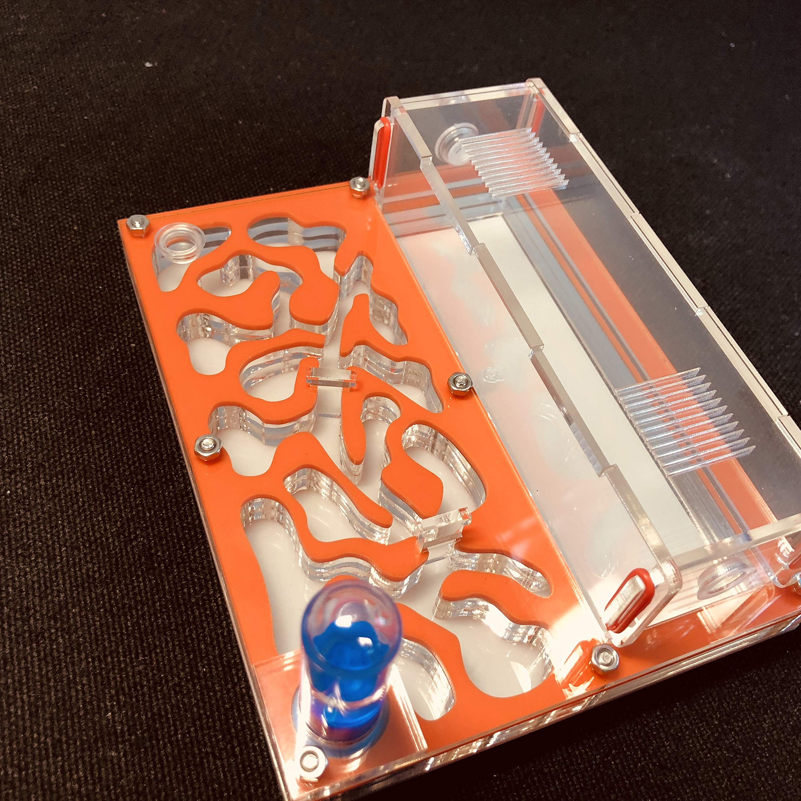 Ant Grape Formicarium Educativo para Granja de Hormigas para Tubo de ensayo de Hormigas Vivo Humedad Gran Espacio Nido de Hormigas de acrílico, Hormigas Insectos (Naranja) - 4