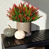 Product Photo 5