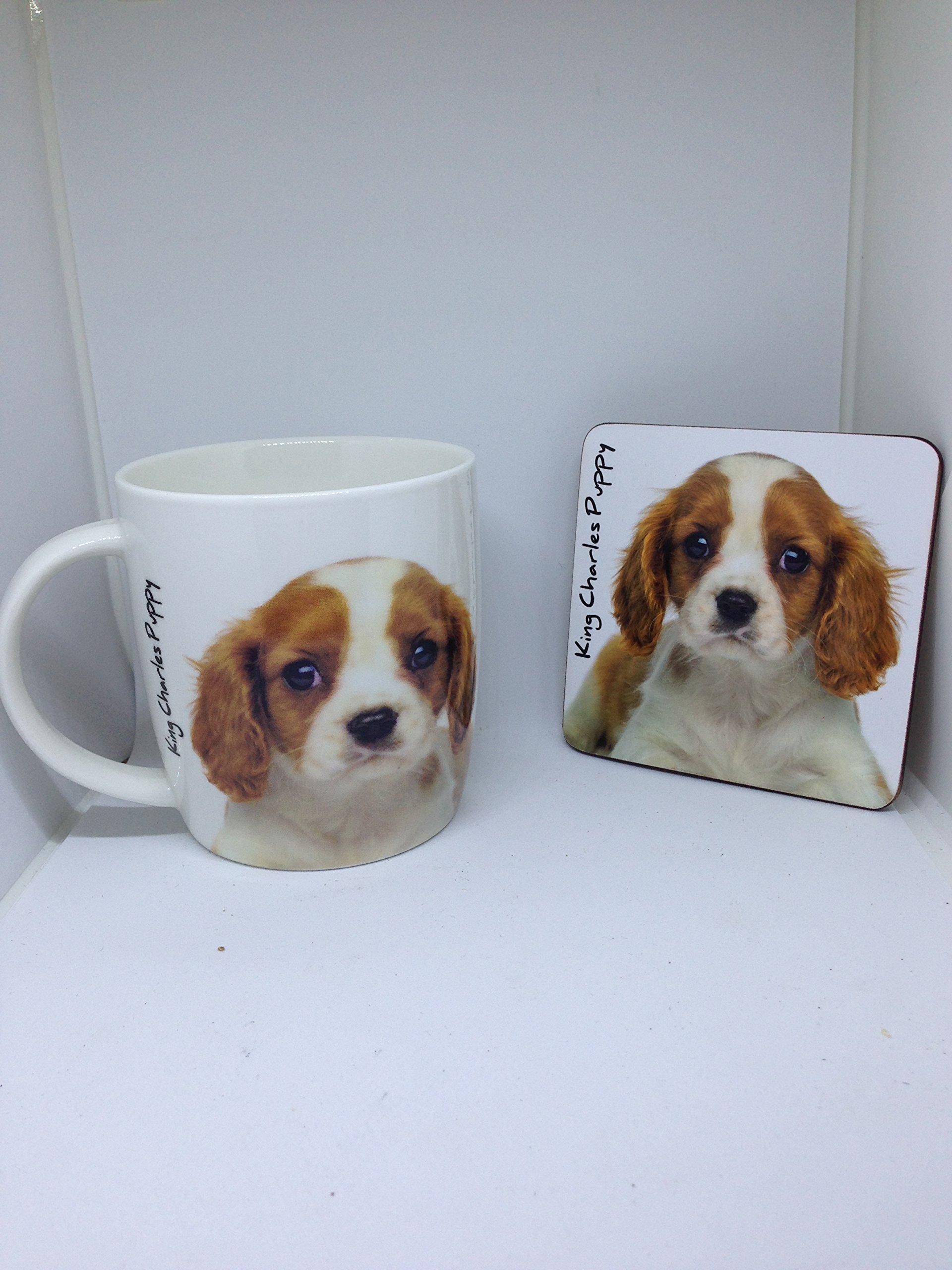 King Charles Puppy Mug and coaster set
