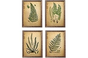 Unframed Botanical Fern Print Set | Vintage Botanical Wall Art