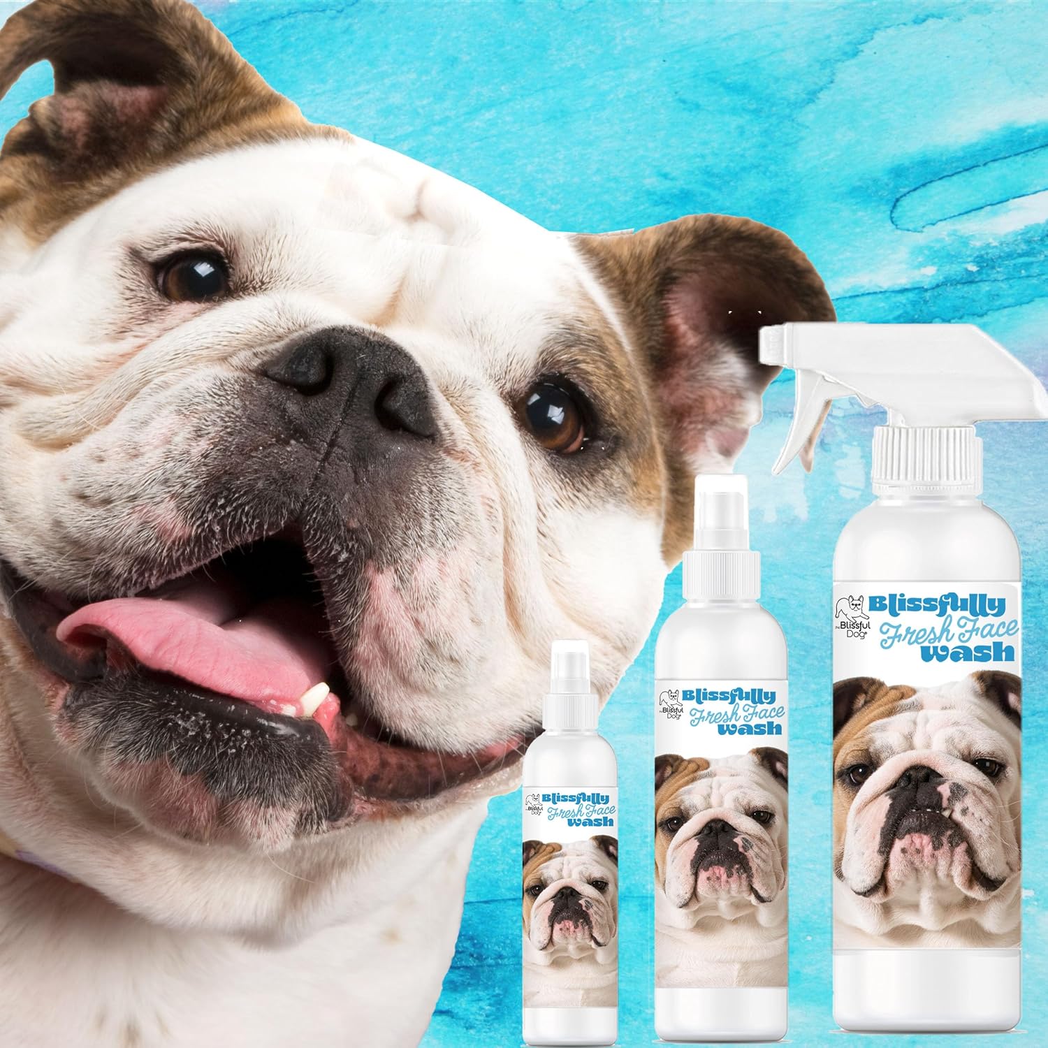 The Blissful Dog Blissfully Fresh Face Wash - Cleans Facial Folds and Wrinkles, 16-Ounce, Bulldog image 3