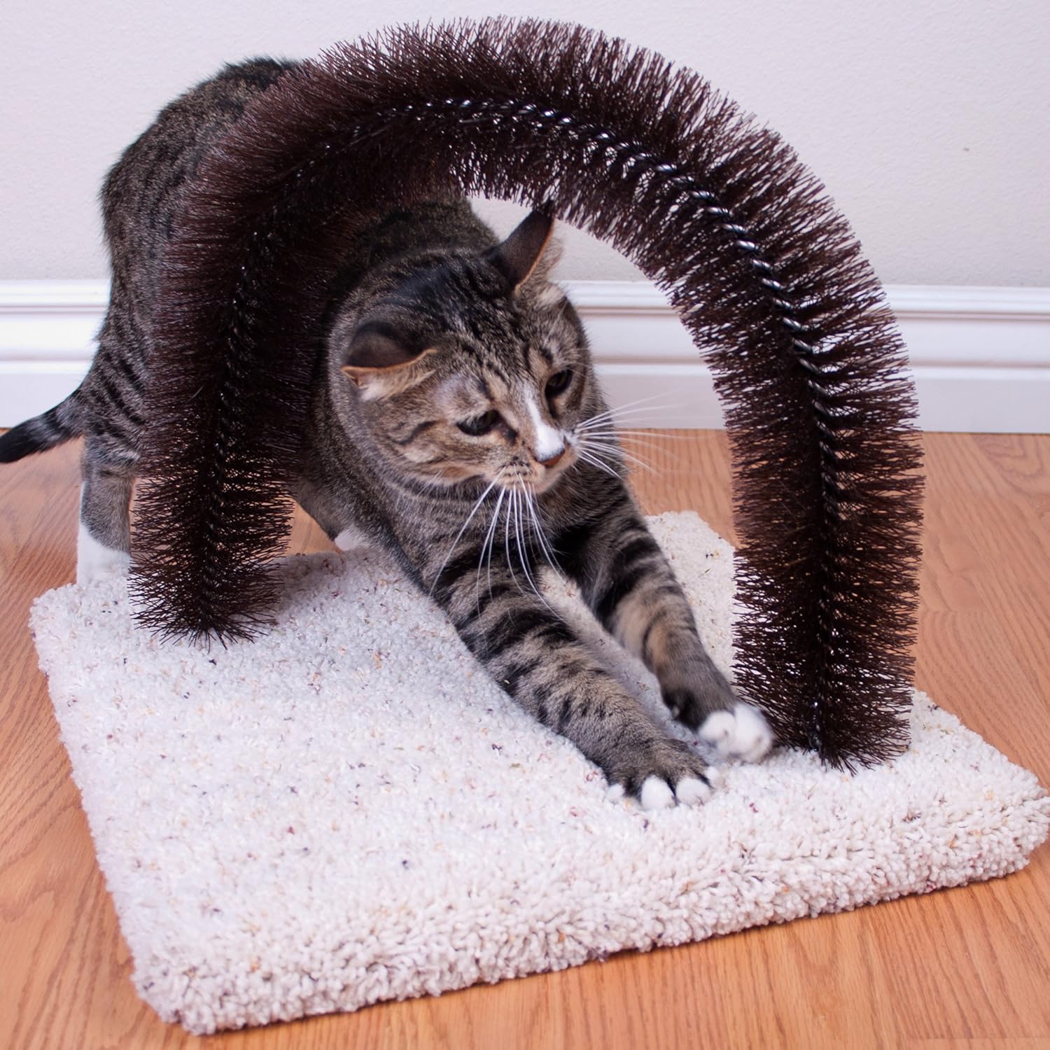 Ware Manufacturing Brush-N-Scratch Groomer for Cats