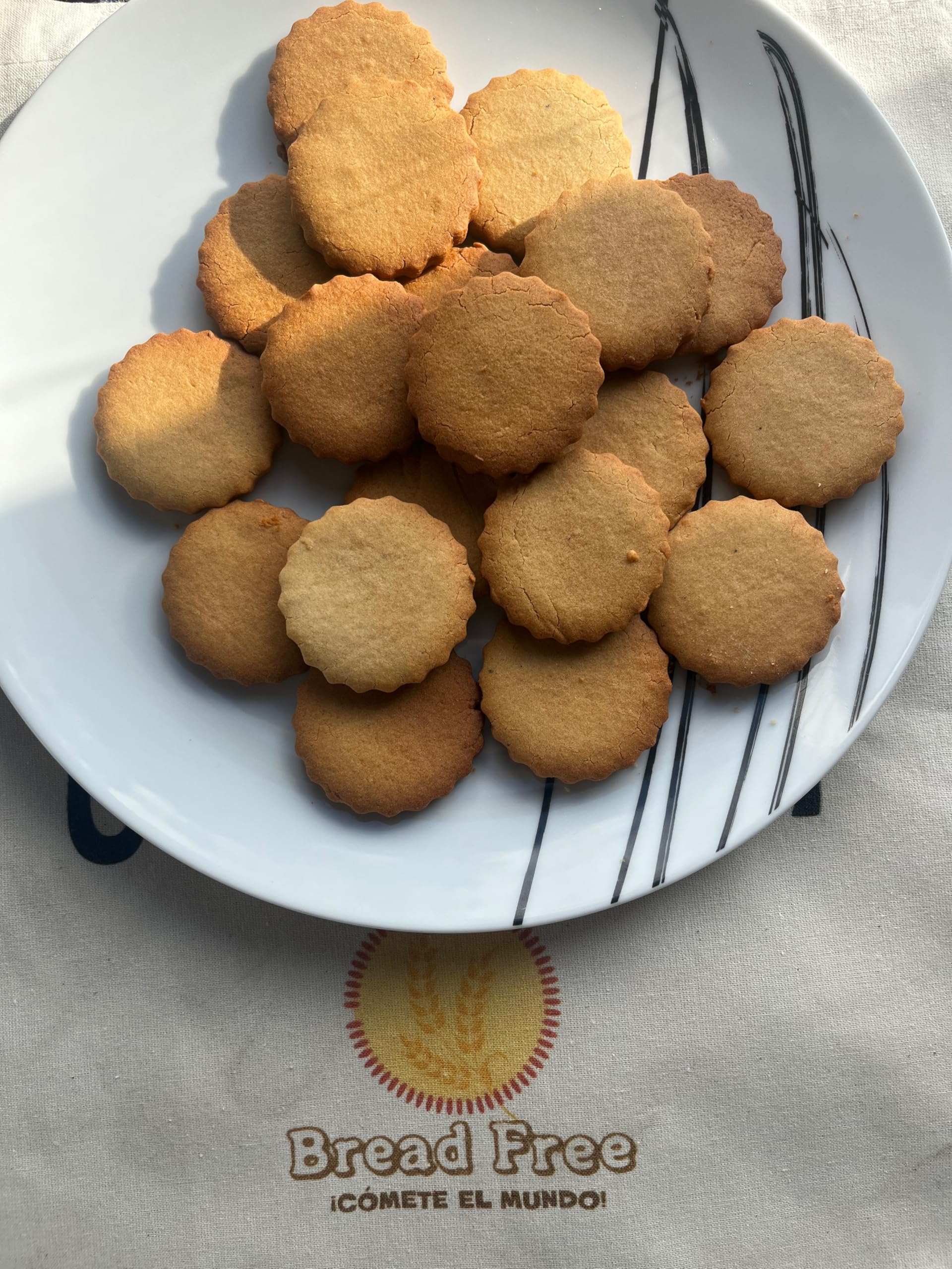 PURA Harina de Trigo Tratada Sin Gluten 1kg – Apta para Celíacos, Sin Alérgenos, Vegana, No OGM, Harina Versátil para Repostería y Cocina Sin Gluten, Envase Doypack ZIP 1 Kg (Paquete de 1)
