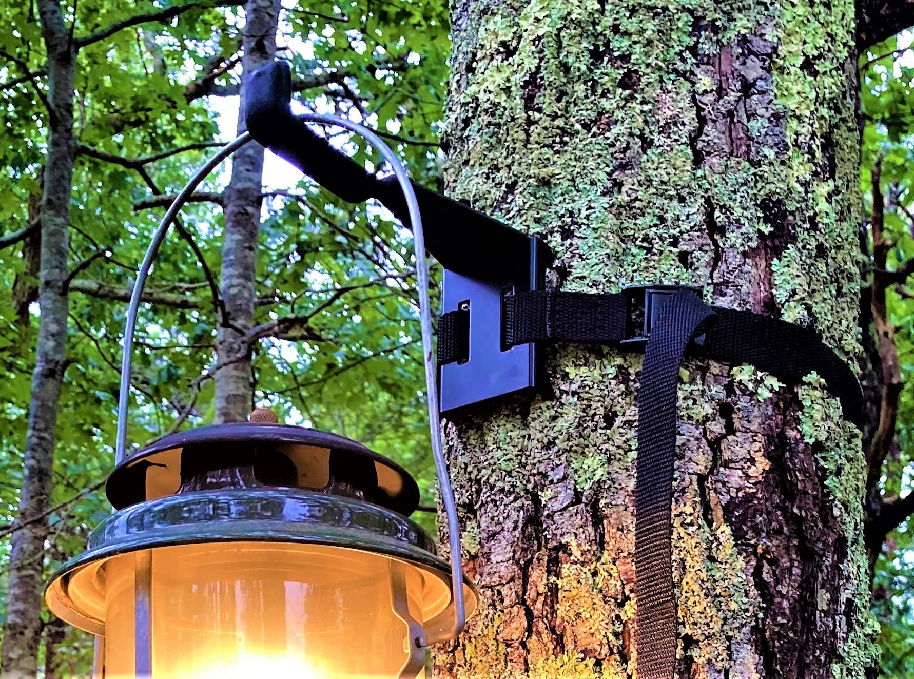 Amazon.com: BWD LLC Lantern Hanger - Strong & Safe Lantern Hanging