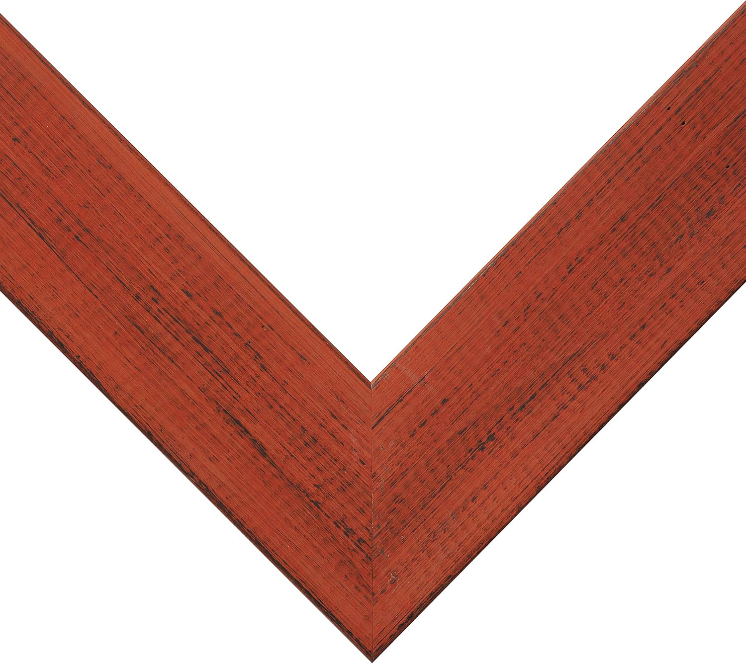 Craig Frames Jasper Picture Frame, 10 x 16 Inch, Country Bourbon Orange