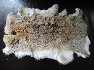Rabbit Skin