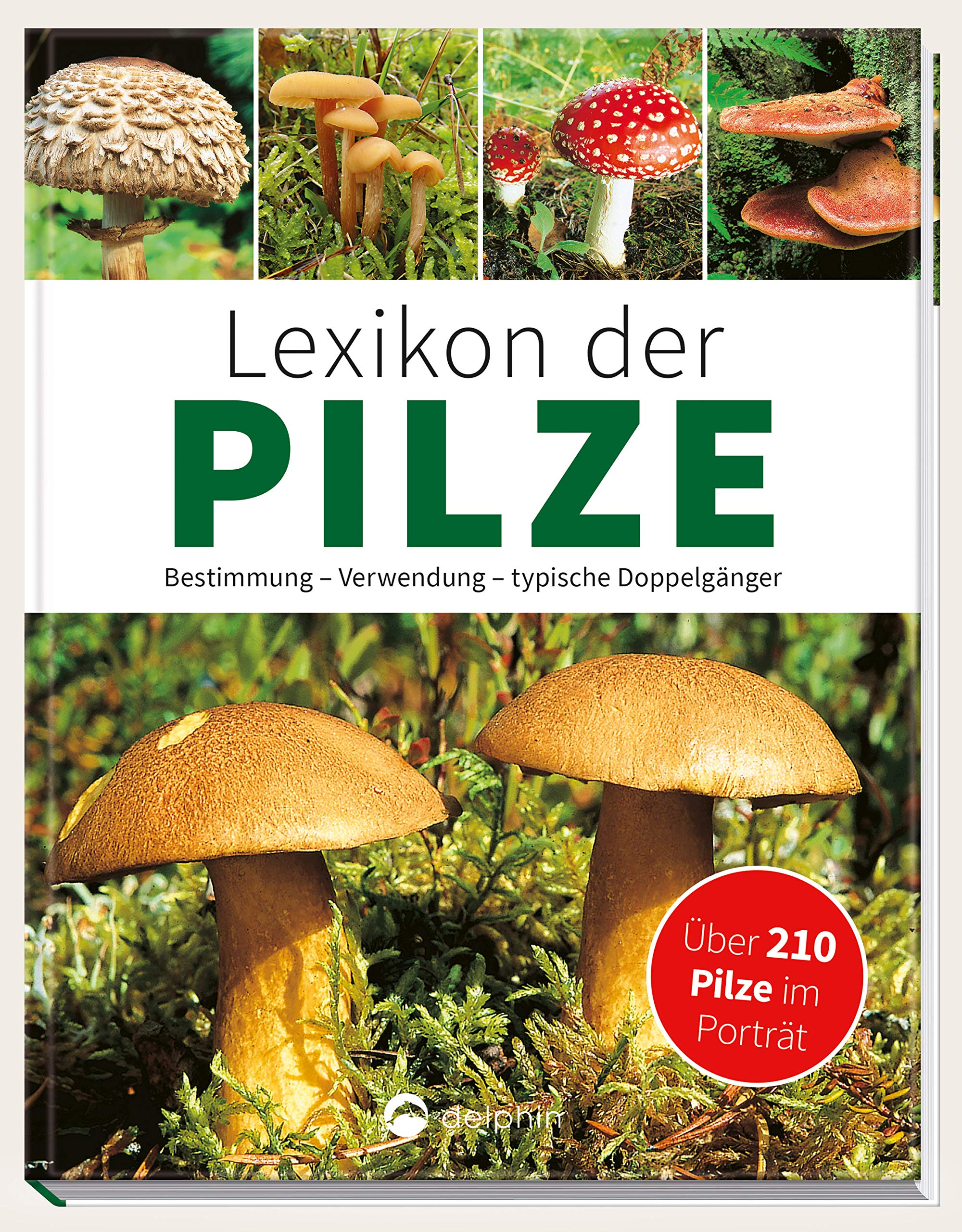 Lexikon Der Pilze: Bestimmung, Verwendung, Typische Doppelgänger 
