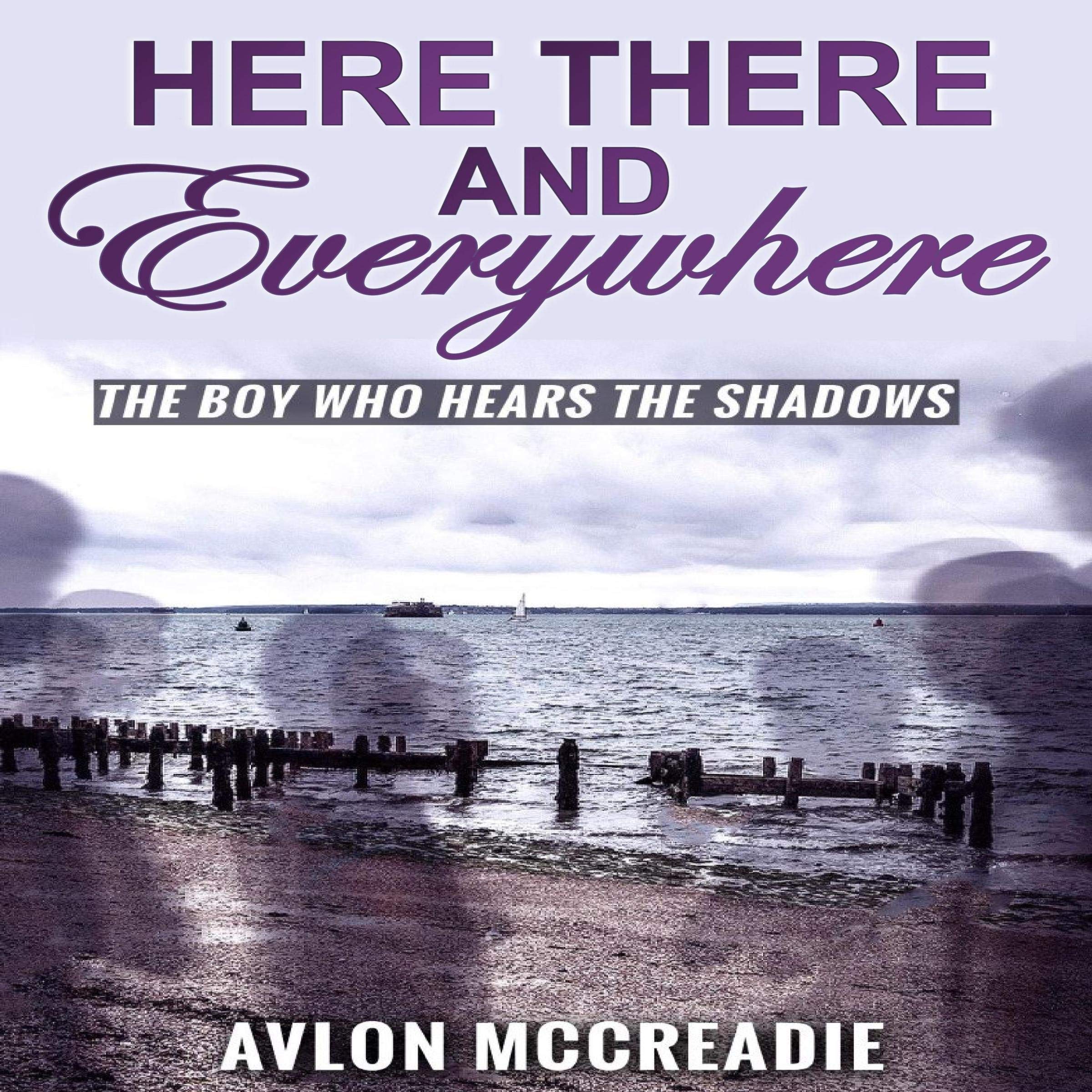 Cover art for Here, There, and Everywhere: The Boy Who Hears the Shadows