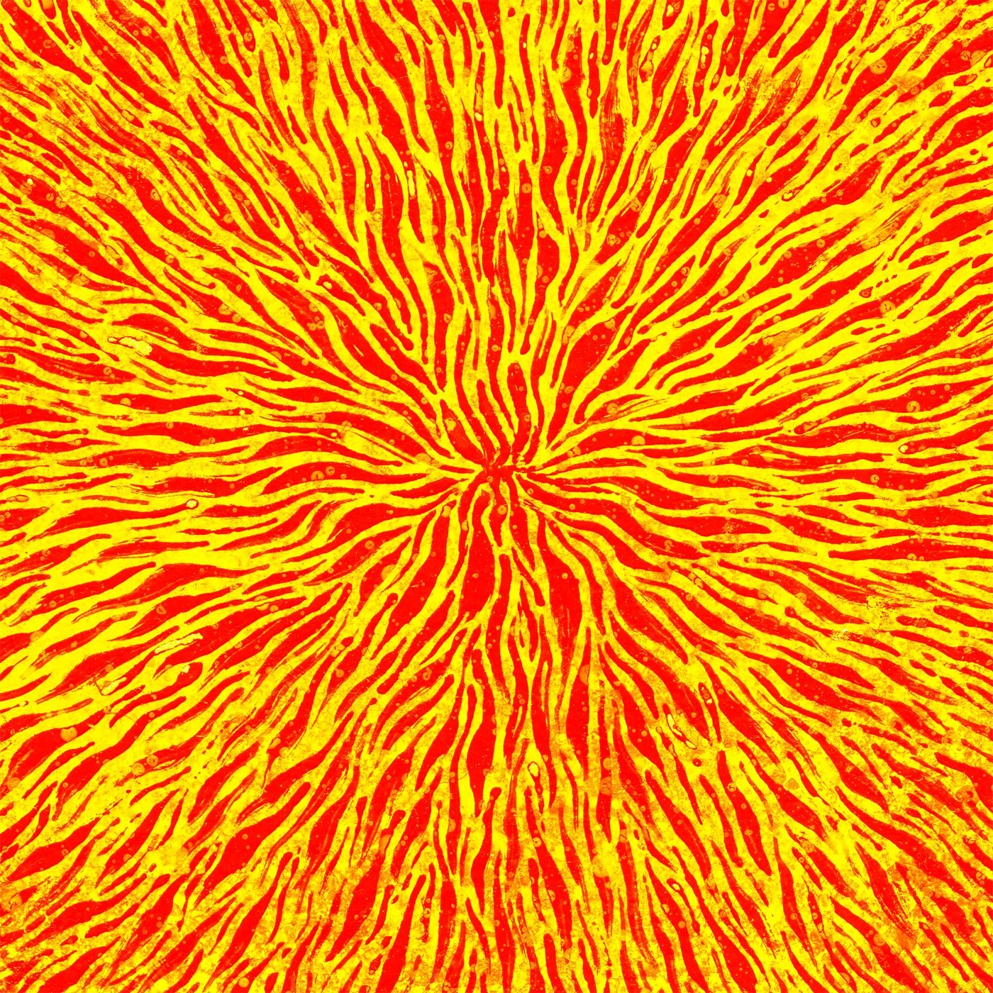We are all fire