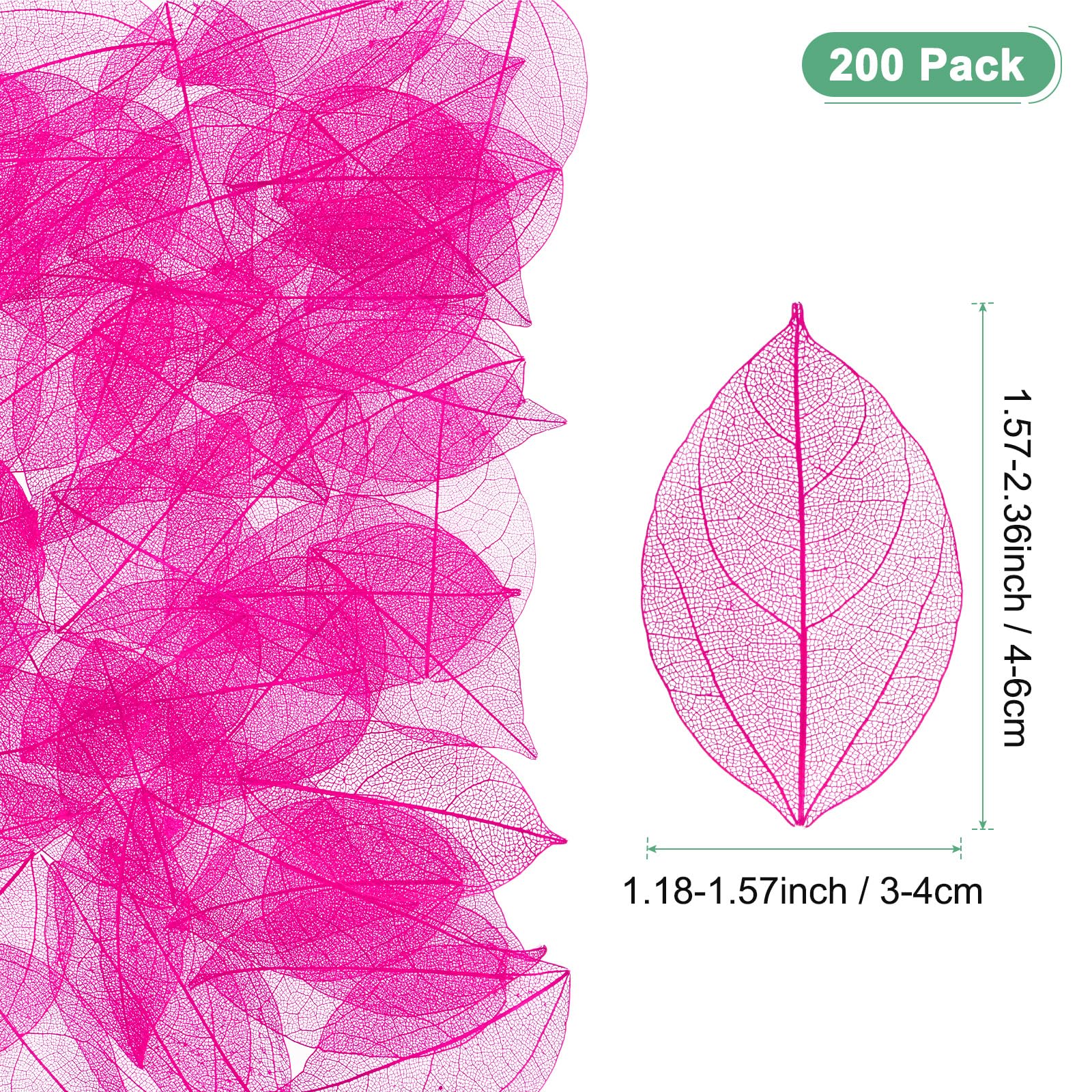 M METERXITY 200-Pack Skeleton Leaves - Image 3