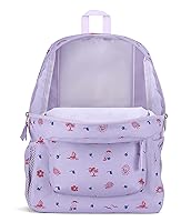 Amazon.com | JanSport Cross Town Backpack 17