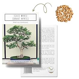 Suchergebnis Auf Amazon.de Fr: Bonsai Baum Indoor