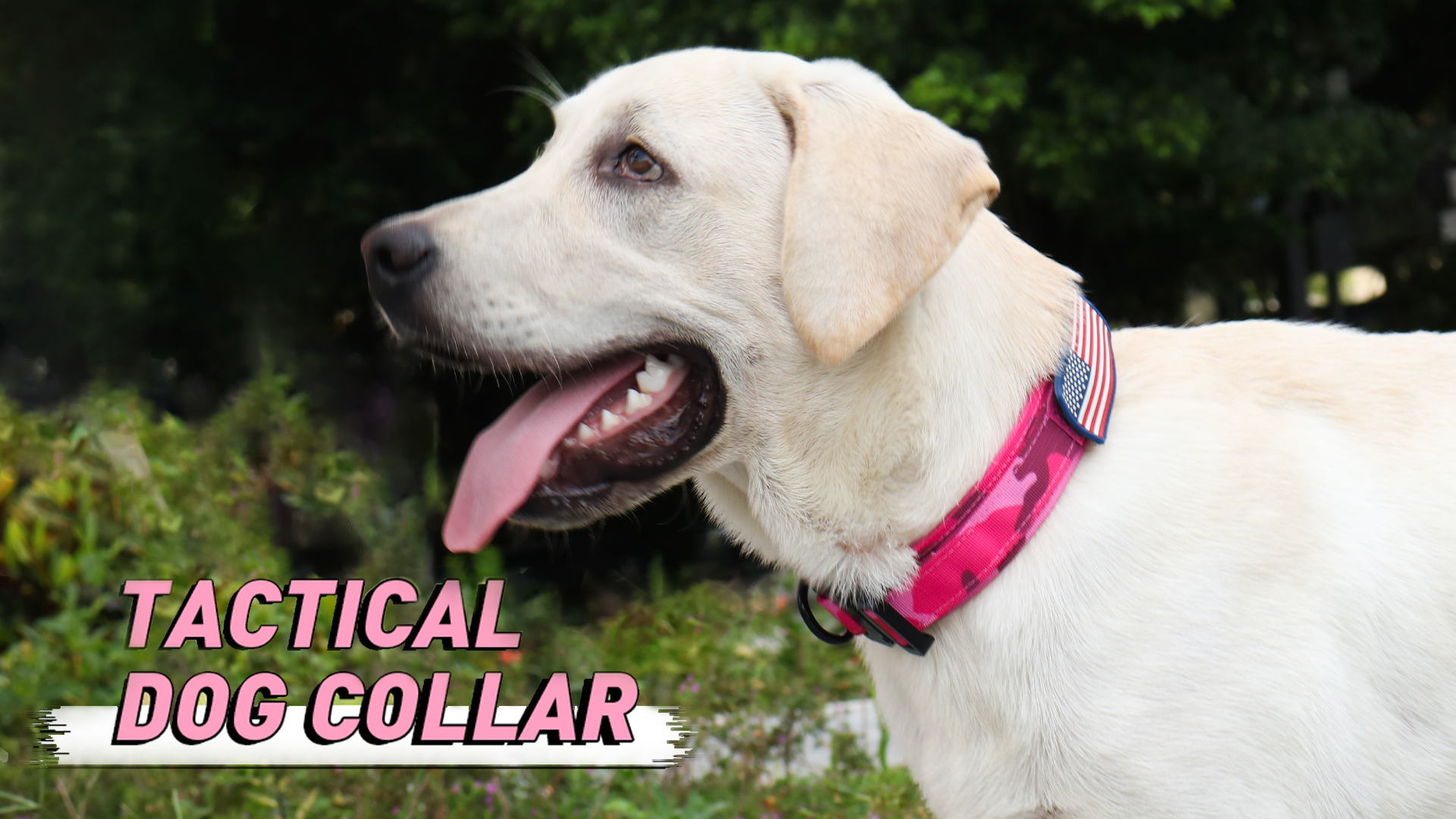 Hotsky Tactical Dog Collar, Adjustable Military Training Nylon Dog Collar with Handle, Heavy Duty Metal Buckle K9 Dog… - Image 7