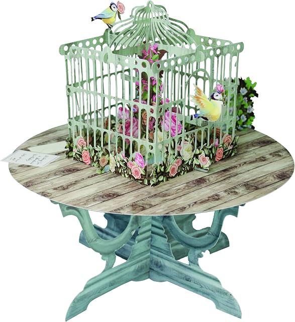 Paper D'Art 3D015 3D Pop Up Birdcage Greeting Card, Paper