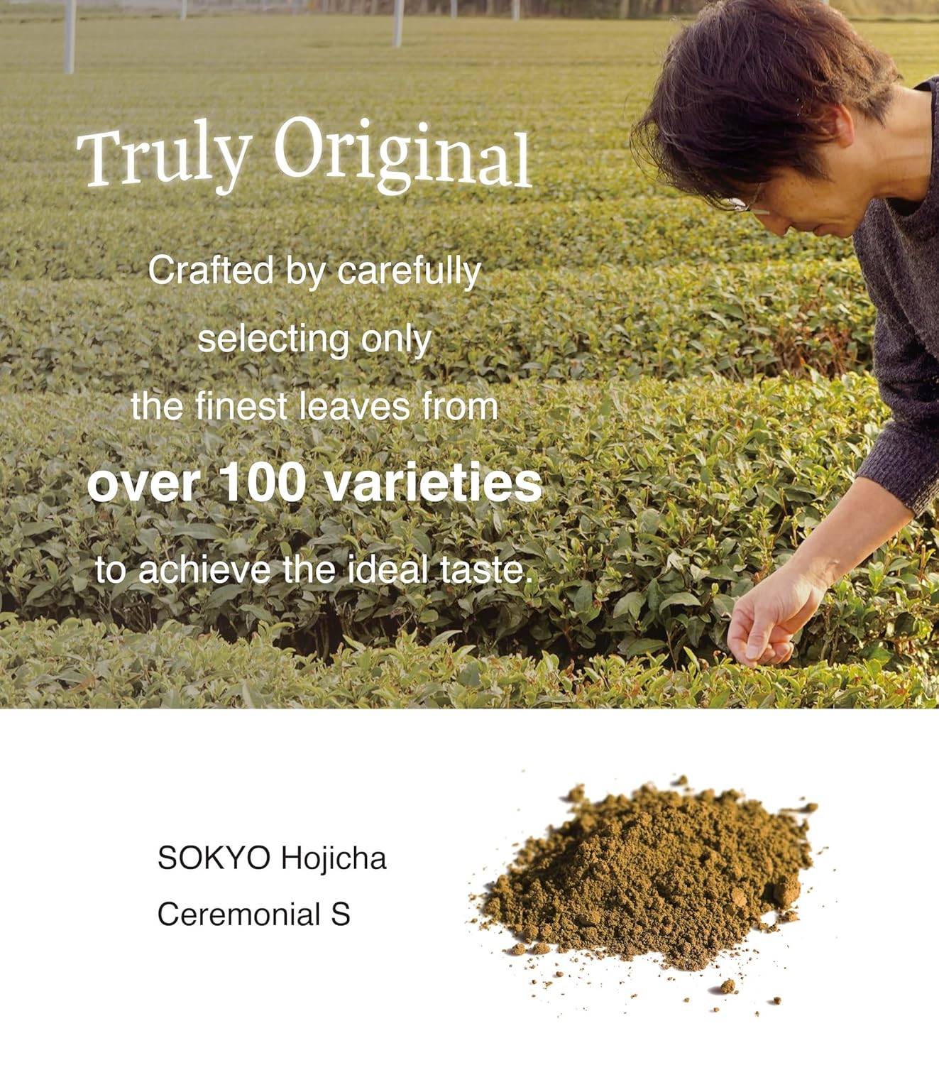 SOKYO ceremonial hojicha roasted powdered green tea Japanese (3.52oz / 100g, Ceremonial hojicha S)