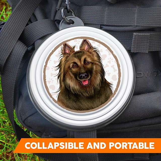 Foto 2 de 7 de Malinois - Cuenco plegable de silicona portátil para perros con mosquetón para paseos y caminatas con tus…