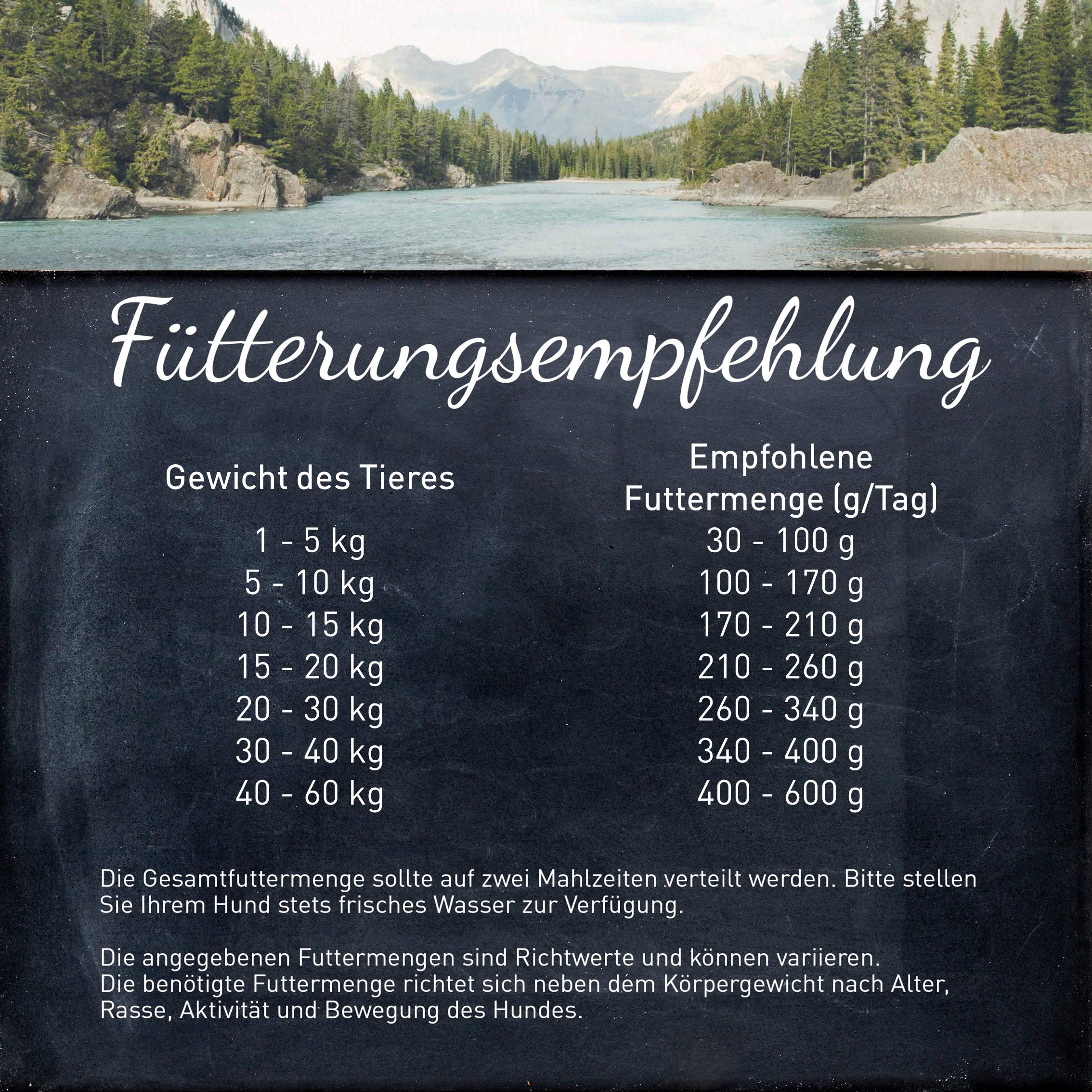 WILDES LAND – Wild | Trockenfutter mit extra hohem Fleischanteil und natürlichen Zutaten für ausgewachsene Hunde. Alleinfutter ohne Zusatzstoffe im Beutel | 12kg Wild