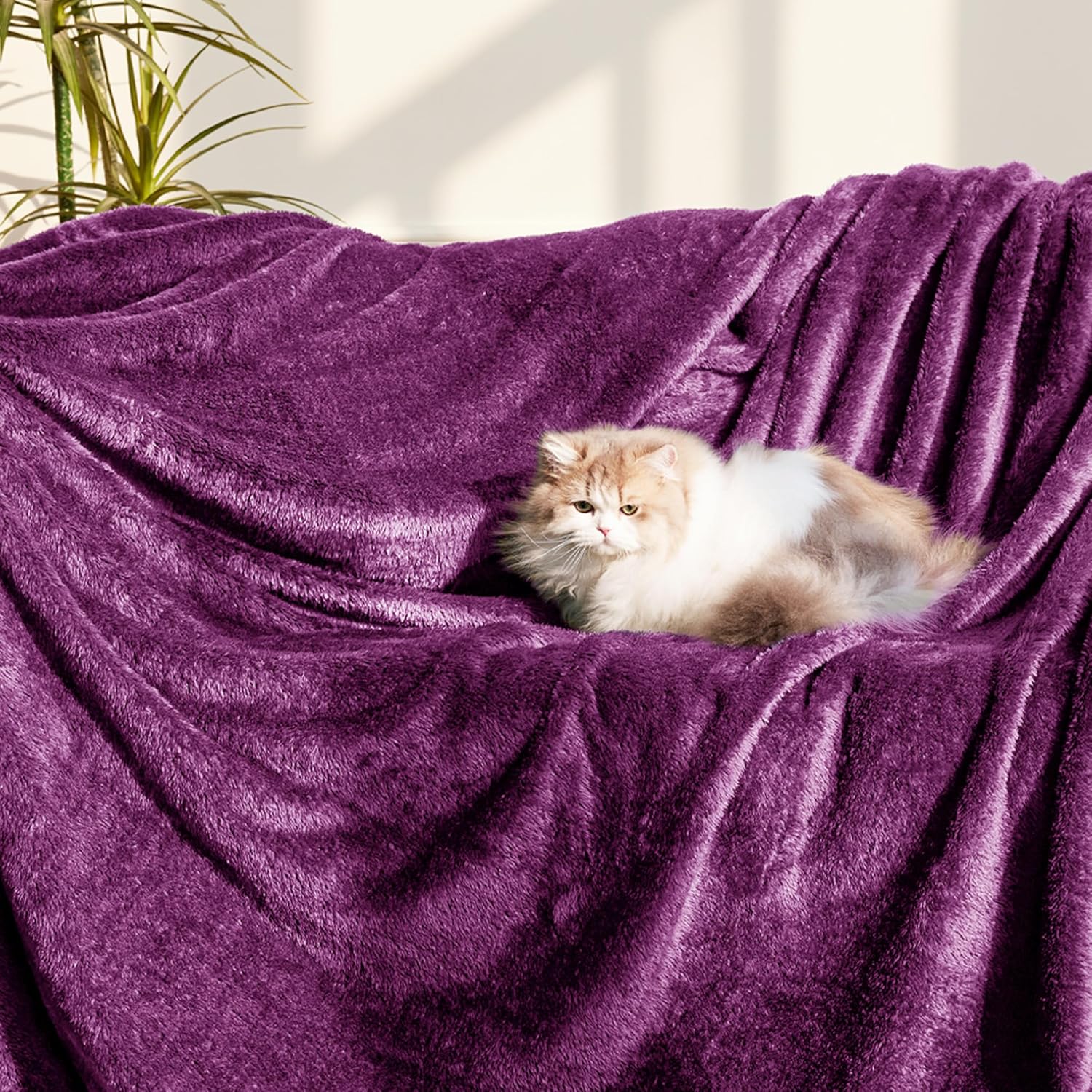 Whale Flotilla Purple King Size Blanket for Bed, 300GSM Soft Warm Fleece Fabric, Decorative Lightweight Plush Fluffy Blankets for All Season, 90x104 Inch - Image 2