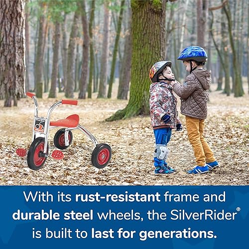 Miniatura 9 de SilverRider 12 triciclo