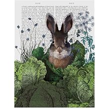Trademark Fine Art Cabbage Patch Rabbit Text 4 by Fab Funky 4, 14x19-Inch