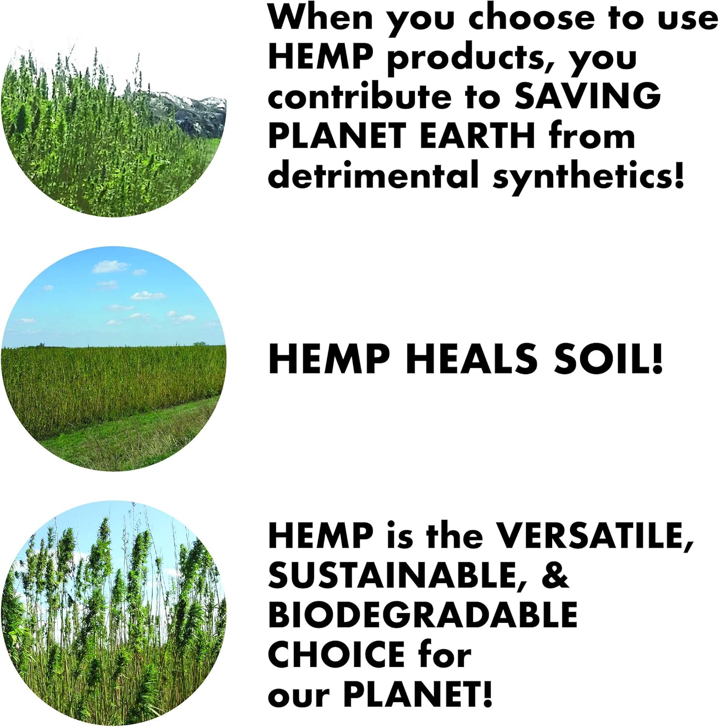 Hemp Cord Spool 20lb 205'/Pkg-Dusty Olive (並行輸入品)