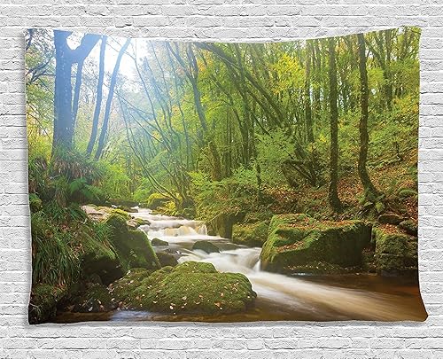 Miniatura 118 de Ambesonne Tapiz de fantasía, paisaje de fantasía con reloj, rayos de cielo de ensueño desde el techo, arte ficticio, colgante de pared ancho para
