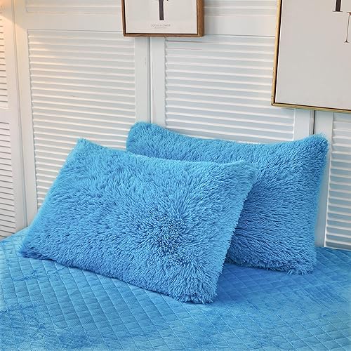 LIFEREVO Paquete de 2 fundas de almohada de pelo sintético lanudo de 20 x 26 pulgadas, fundas de almohada decorativas esponjosas con cierre de