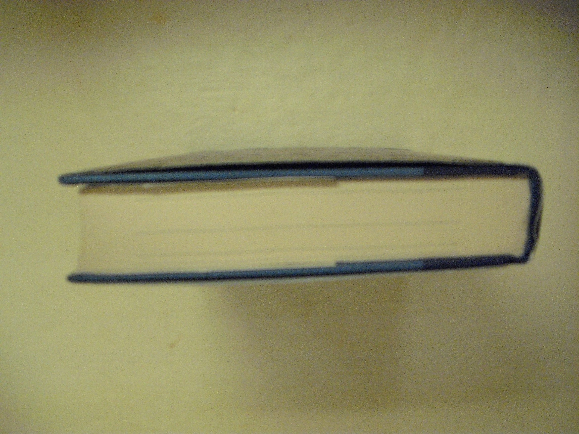 The Map of True Places - Image 5