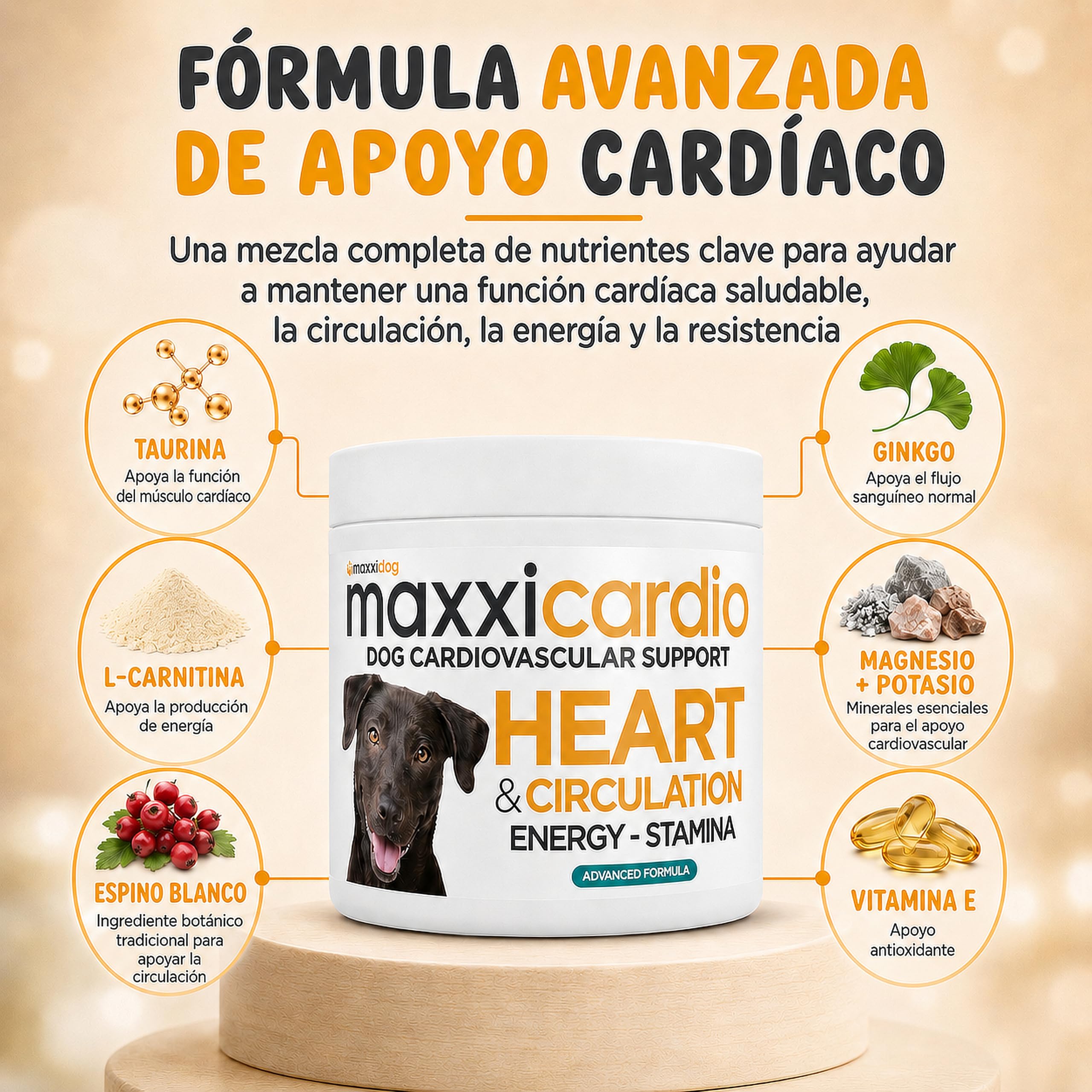 maxxipaws maxxicardio Soporte para el Corazón y el Sistema Cardiovascular - Suplemento en Polvo para Perros, 90 g