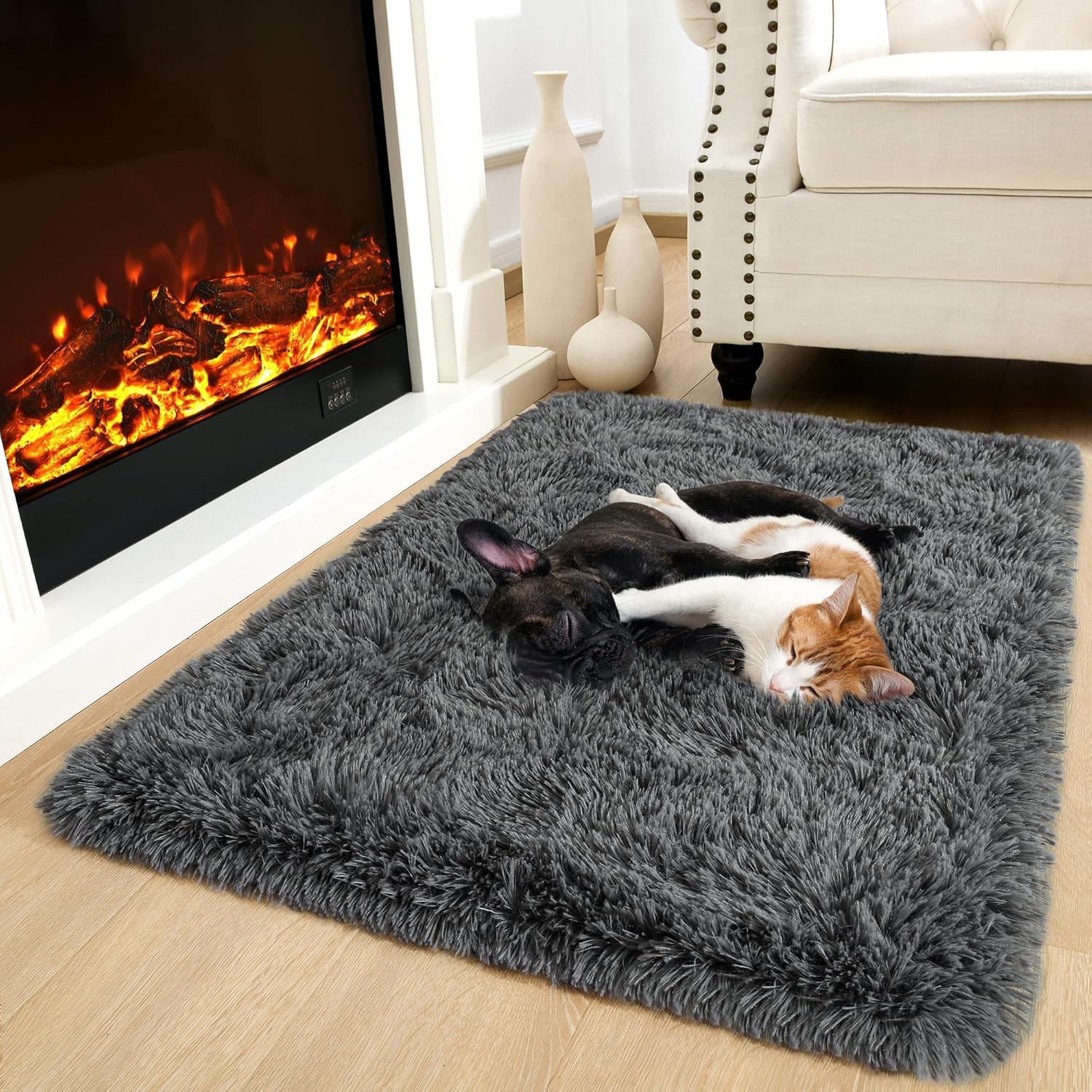 Noahas Door Mat Indoor Entrance,2x3 Shaggy Small Dark Grey Area Rugs for Entryway,Non-Slip Fluffy Entry Bedroom Rug,Soft Plush Bedside Throw Kids Carpet