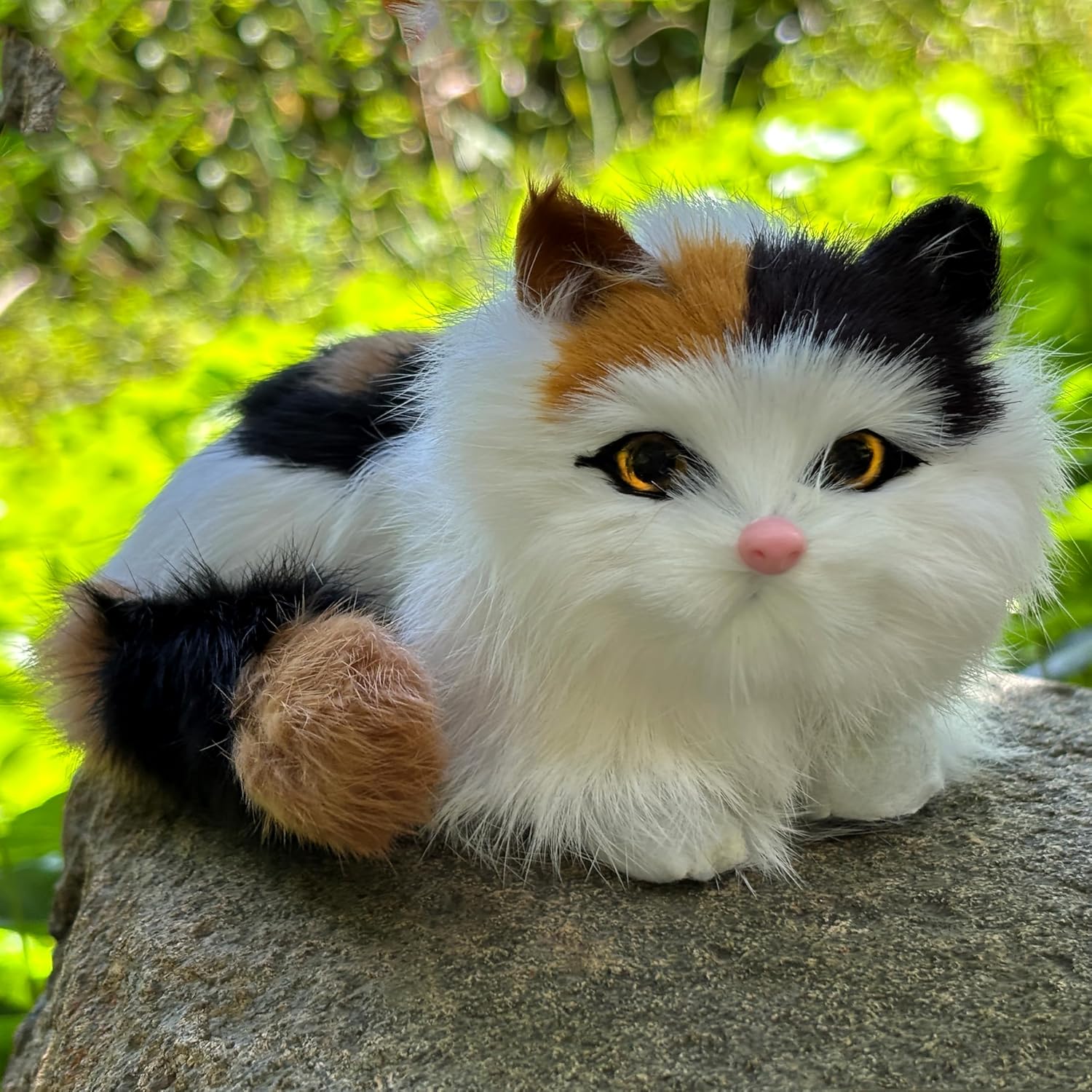 Realistic Baby Calico Cat Figurine Lifelike Furry Pakistan Ubuy