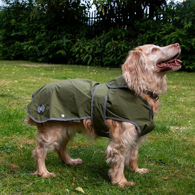Foto 6 de 6 de Ancol Stormguard - Abrigo Suave para Perro en Caqui, Chaqueta Impermeable para Mascotas con Agujero…