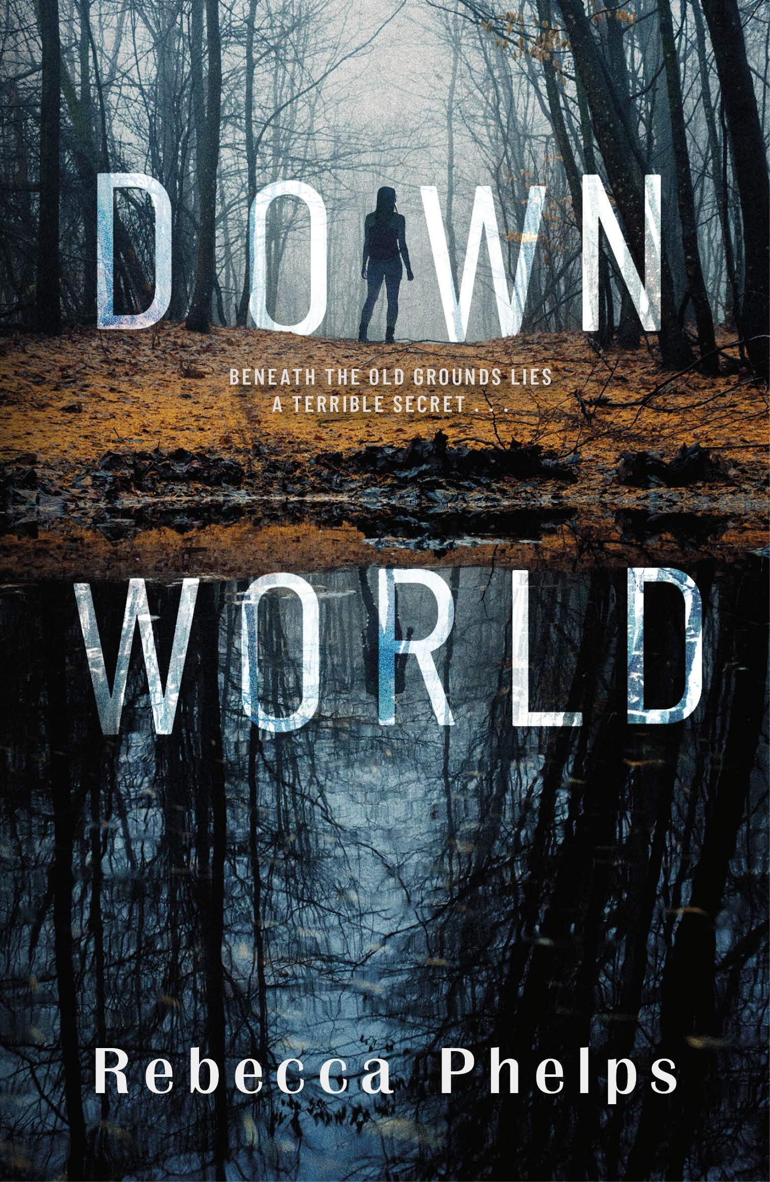 Rebecca Phelps - Down World - Paperback Book