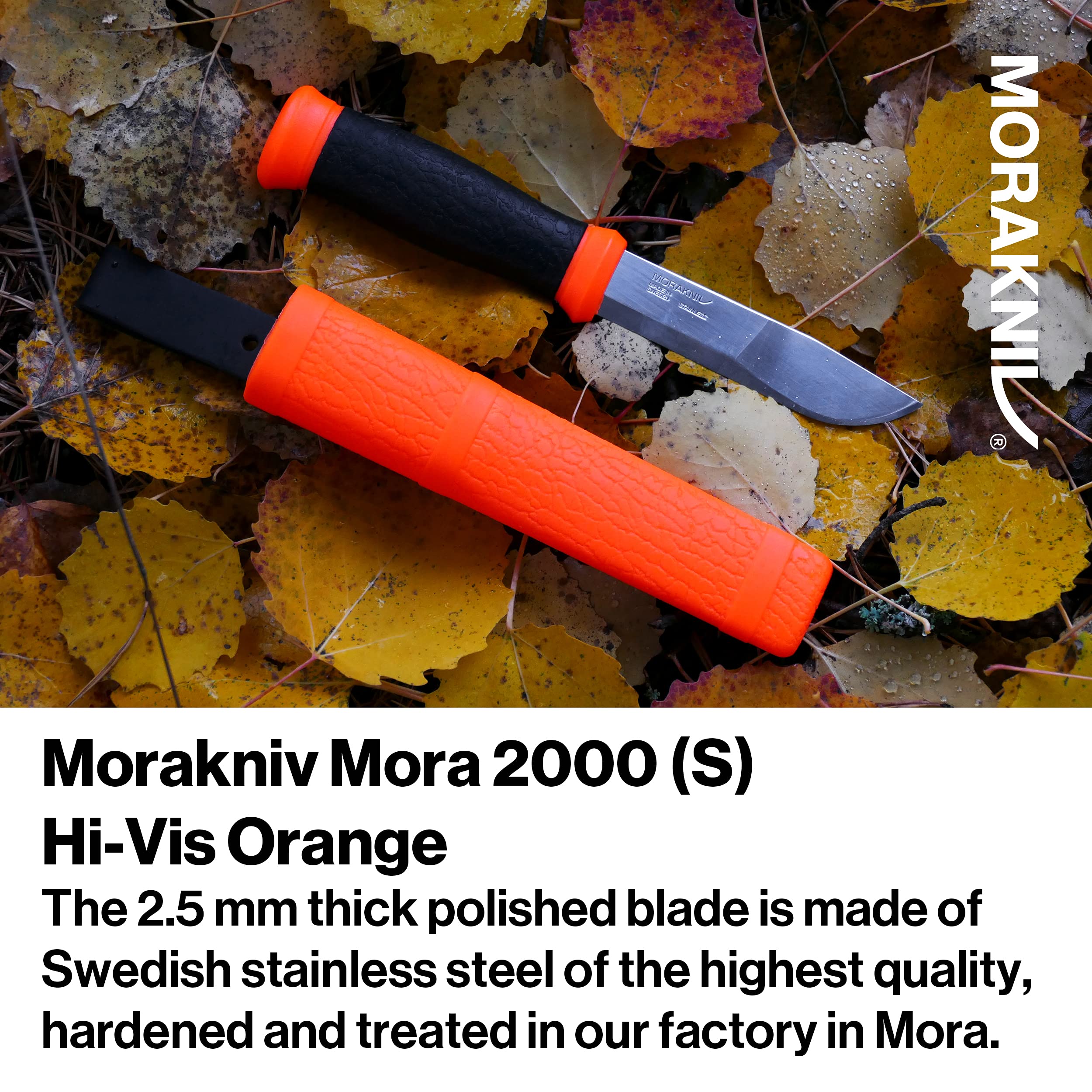 Amazon.com : Morakniv Outdoor 2000 Fixed Blade Knife with Sandvik