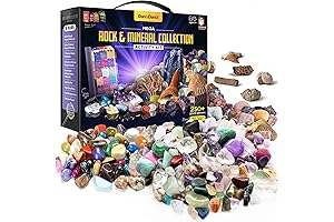 250+ Dancing Bear Rock and Mineral Collection | STEM Toys for Kids Ages 6+