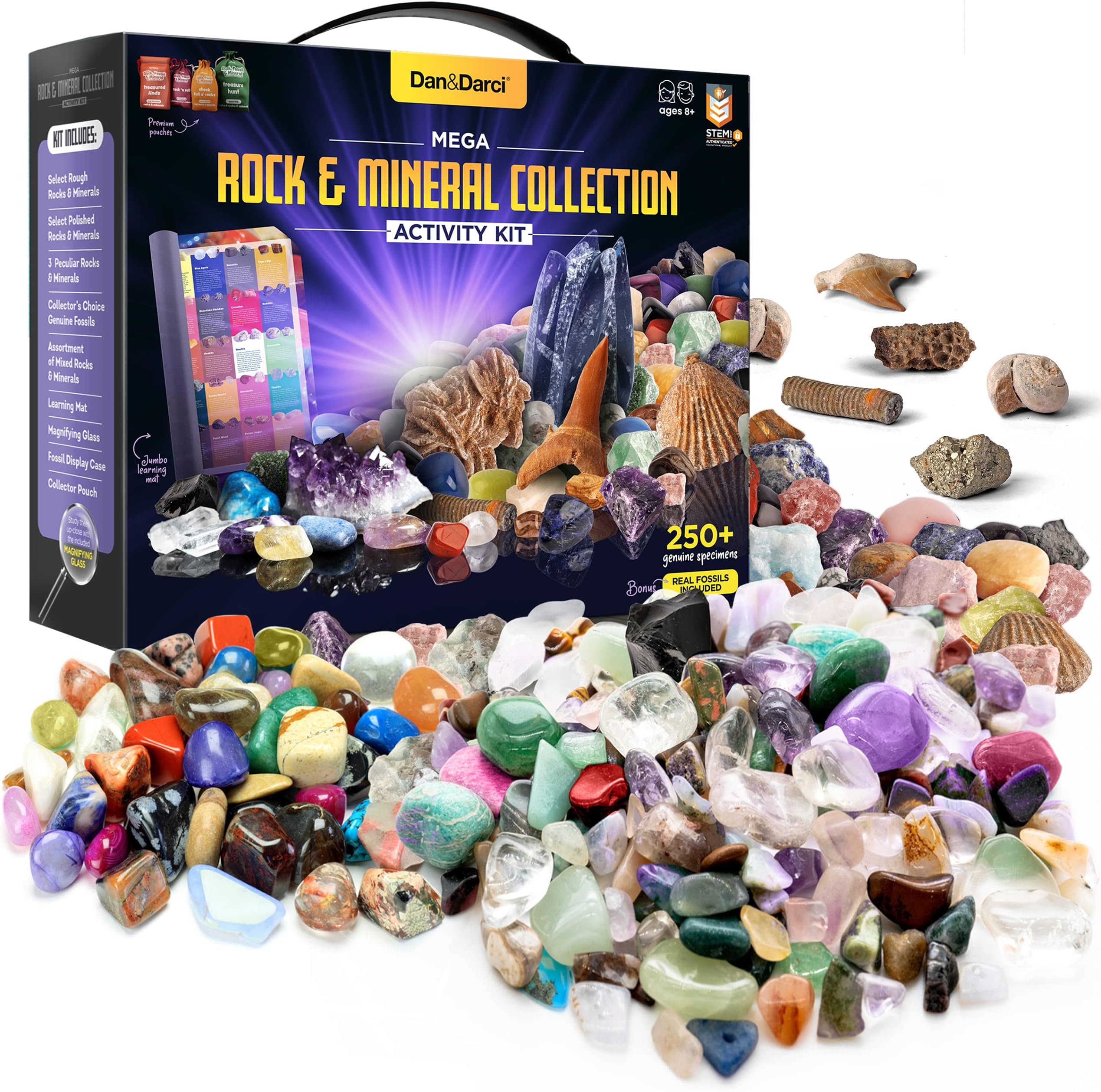 Dan&Darci Rock Collection for Kids - Includes 250+ Bulk Rocks, Gemstones & Crystals + Genuine Fossils and Minerals - 2 Lbs. - Geology Earth Science STEM Toys Activity, Gifts for Boys & Girls Ages 6+
