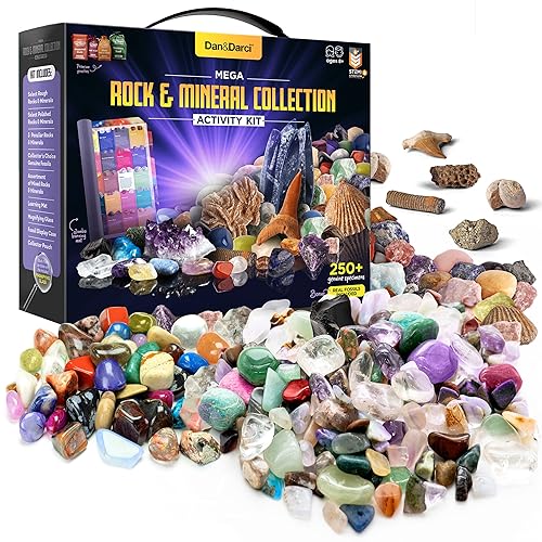 Dan&Darci Rock Collection for Kids - Includes 250+ Bulk Rocks, Gemstones & Crystals + Genuine Fossils and Minerals - 2 Lbs. - Geology Earth Science STEM Toys Activity, Gifts for Boys & Girls Ages 6+