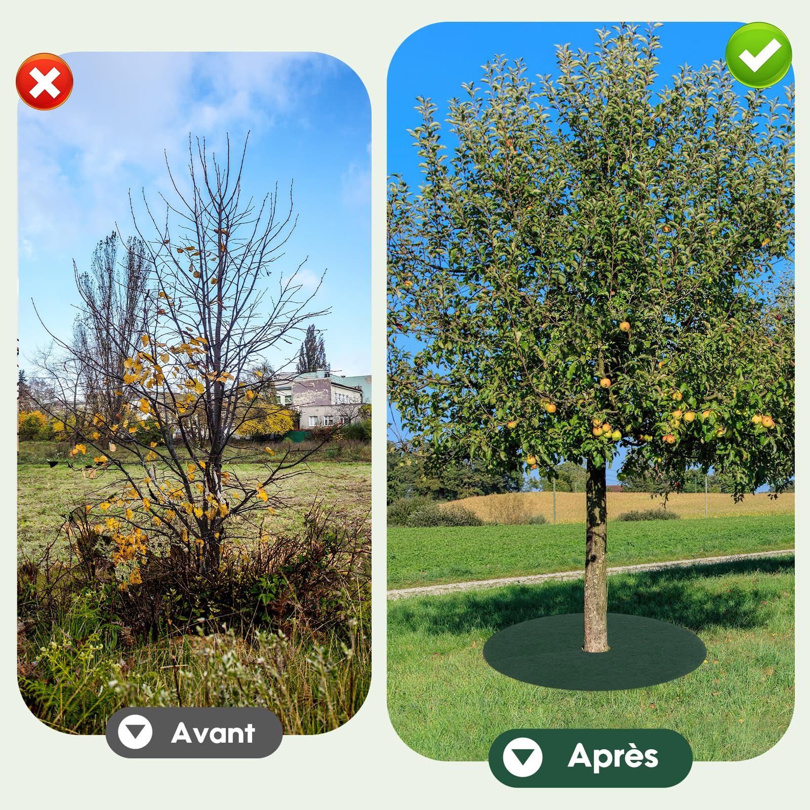Tapis de Protection pour Arbres Anti-Herbes Diamètre 32cm 10 Pièces