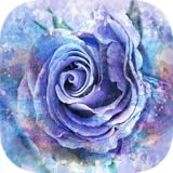 Free Guided Meditation and Relaxation