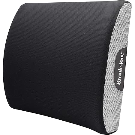 brookstone back cushion