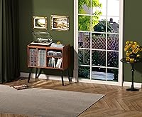 Vista 1 de Mesa tocadiscos, naturaleza de mediados de siglo