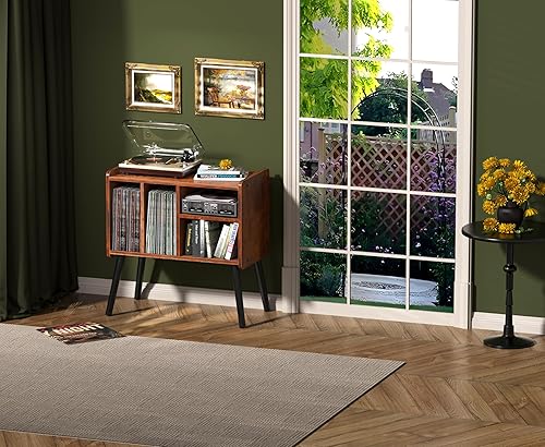 Mesa tocadiscos, naturaleza de mediados de siglo