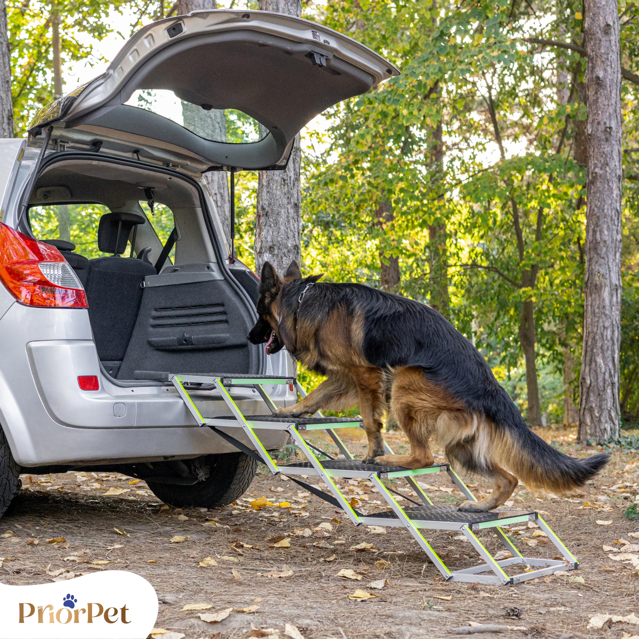 Scala per cani Auto pieghevole – Scala extra larga per cani grandi – Per auto alte e SUV – Passaggi luminosi di notte – Aiuto per articolazioni – Superficie antiscivolo – Fino a 105 kg – 4 gradini